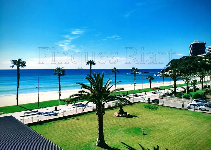 Carmanto - Sant Antoni De *